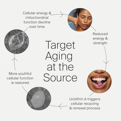 Timeline Mitopure Urolithin A Supplement Gummies - Clinically Proven Support for Healthy Aging and Cellular Renewal - Mitoceutical for Muscle Strength and Longevity